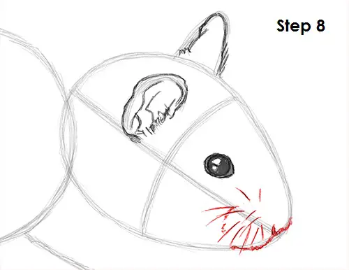 Draw Hamster 8