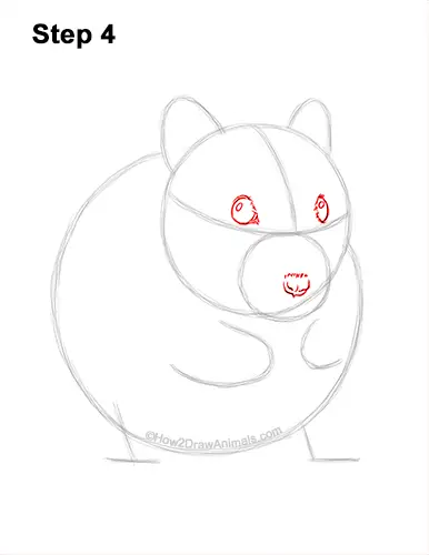 How to Draw a Syrian Hamster Standing Up Eating 4