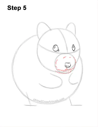 How to Draw a Syrian Hamster Standing Up Eating 5