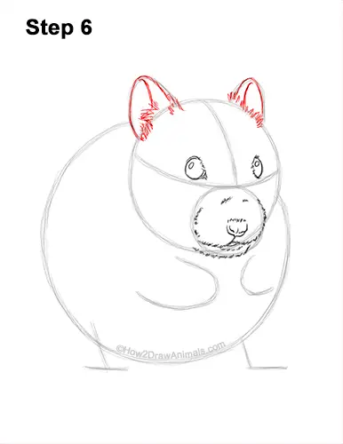 How to Draw a Syrian Hamster Standing Up Eating 6