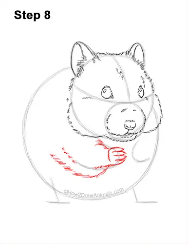 How to Draw a Syrian Hamster Standing Up Eating 8