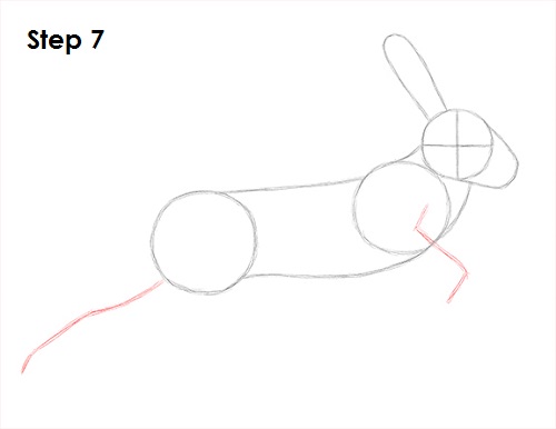 Draw Hare Jackrabbit 7