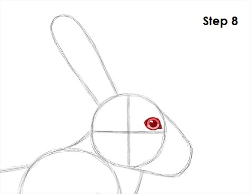 Draw Hare Jackrabbit 8
