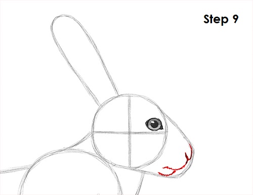 Draw Hare Jackrabbit 9