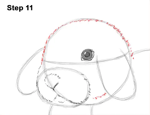 Draw Holland Lop Rabbit 11