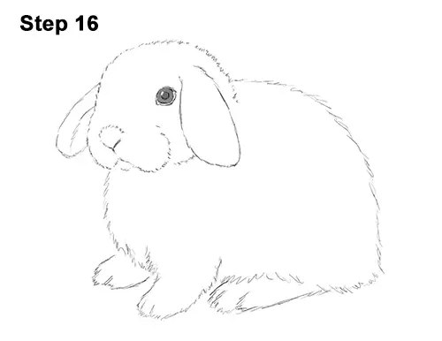 bunny black walkthrough