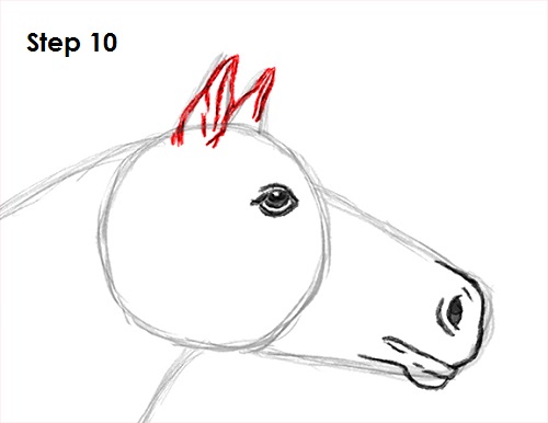 Draw Horse 10