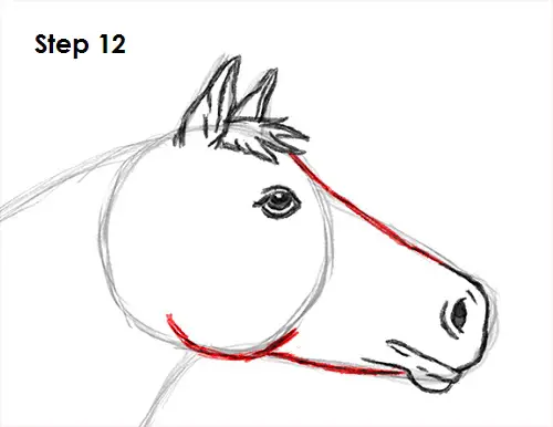 Draw Horse 12