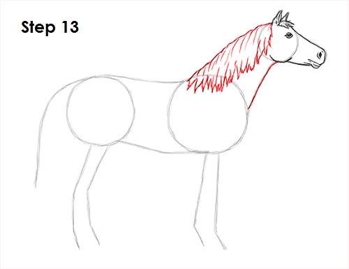 Draw Horse 13