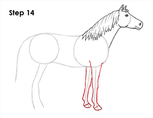 Draw Horse 14