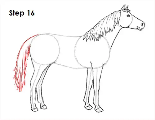Draw Horse 16