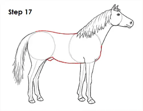Draw Horse 17