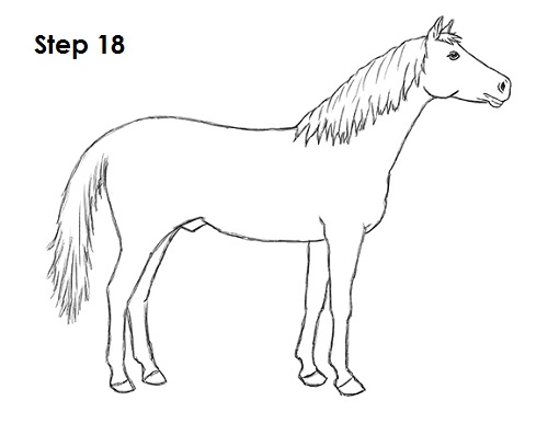 Draw Horse 18