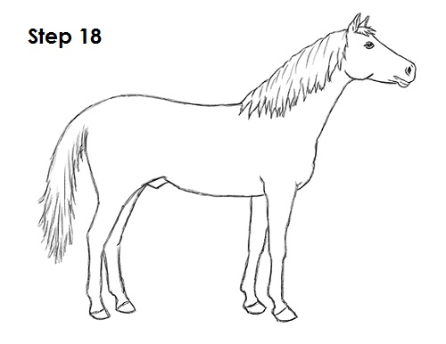 How to Draw a Horse 