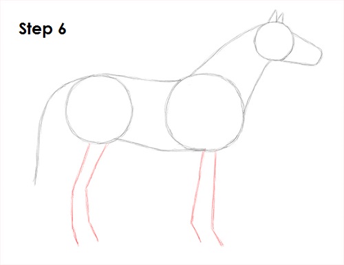 Draw Horse 6