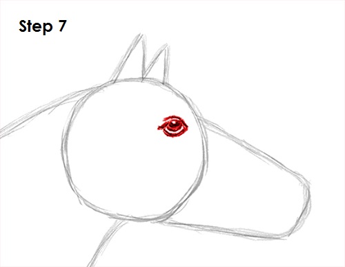 Draw Horse 7