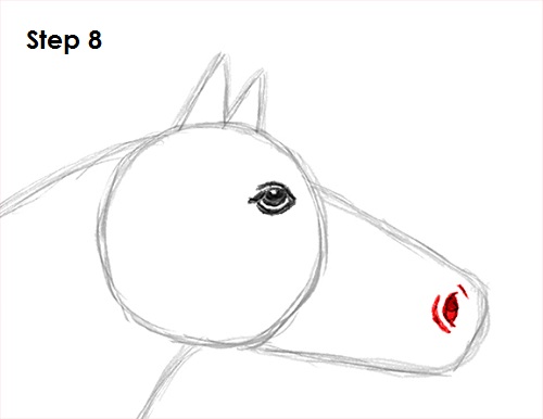 Draw Horse 8