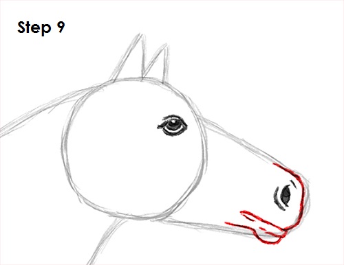 Draw Horse 9