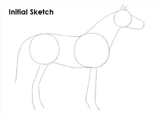 Draw Horse Sketch