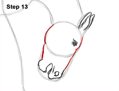 How to Draw a Horse Bronco Bucking Jumping 13