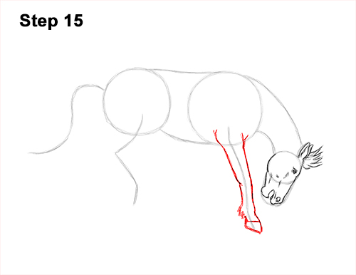 How to Draw a Horse Bronco Bucking Jumping 15