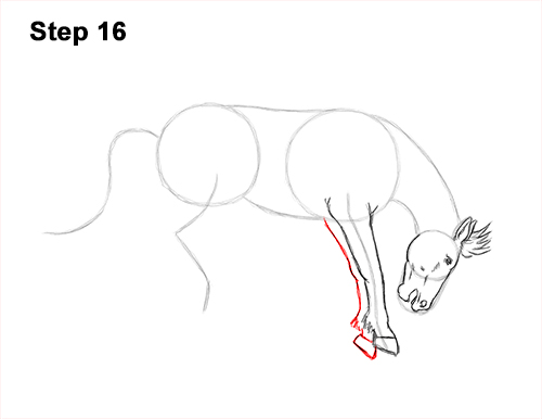 How to Draw a Horse Bronco Bucking Jumping 16