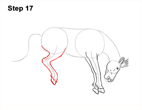 How to Draw a Horse Bronco Bucking Jumping 17