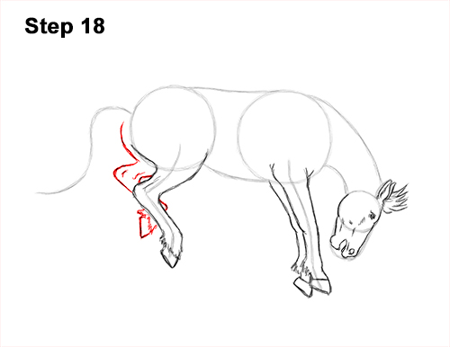How to Draw a Horse Bronco Bucking Jumping 18