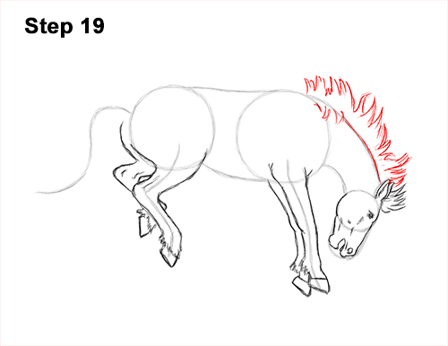 How to Draw a Horse Bronco Bucking Jumping 19