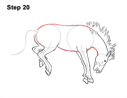 How to Draw a Horse Bronco Bucking Jumping 20