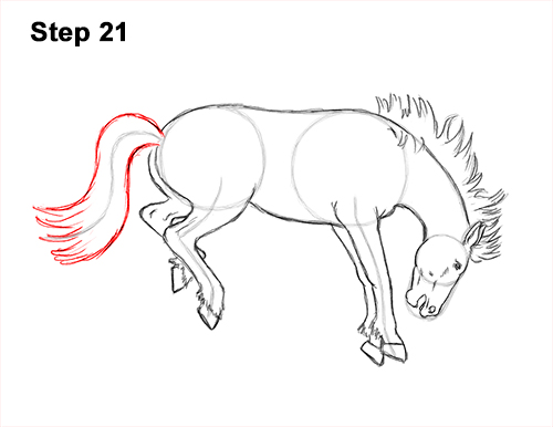 How to Draw a Horse Bronco Bucking Jumping 21