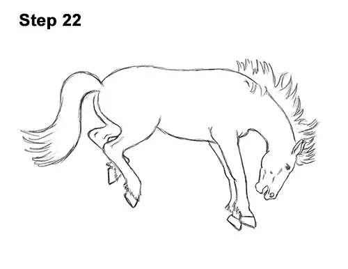 How to Draw a Horse Bronco Bucking Jumping 22