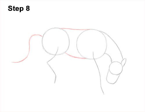 How to Draw a Horse Bronco Bucking Jumping 8
