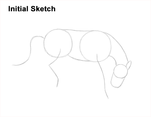How to Draw a Horse Bronco Bucking Jumping Guide Lines