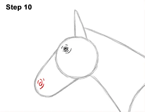 How to Draw a Brown Horse Color Side View 10