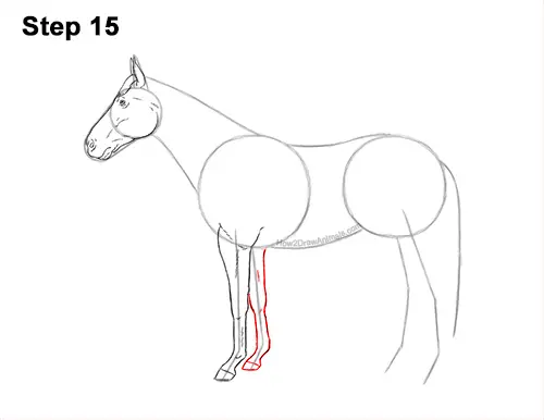 How to Draw a Brown Horse Color Side View 15