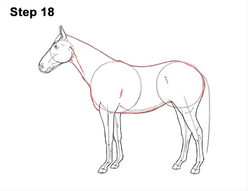 How to Draw a Brown Horse Color Side View 18