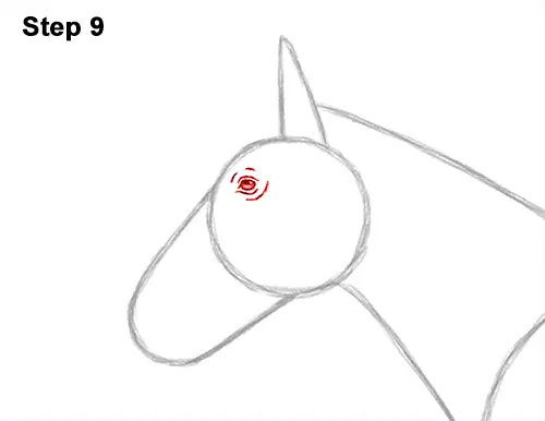 How to Draw a Brown Horse Color Side View 9