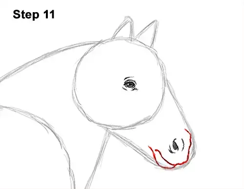 كيفية رسم حصان الغجر فانر ايرش كوب 11