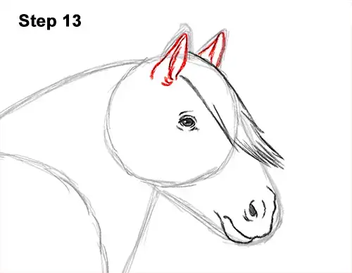 كيفية رسم حصان الغجر Vanner Irish Cob 13