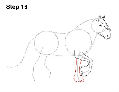 كيفية رسم حصان Gypsy Vanner Irish Cob 16