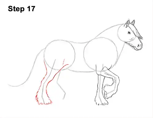 كيفية رسم حصان الغجر Vanner Irish Cob 17