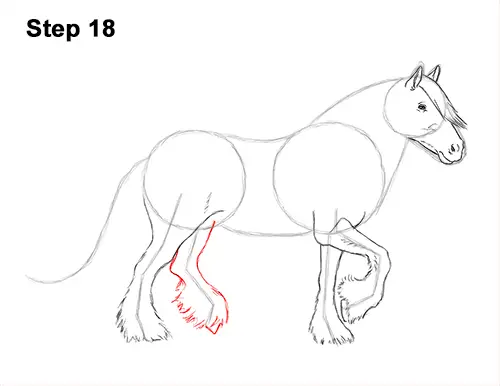 How to Draw a Horse Gypsy Vanner Irish Cob 18