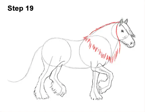 How to Draw a Horse Gypsy Vanner Irish Cob 19