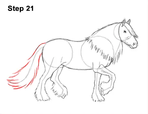How to Draw a Horse Gypsy Vanner Irish Cob 21