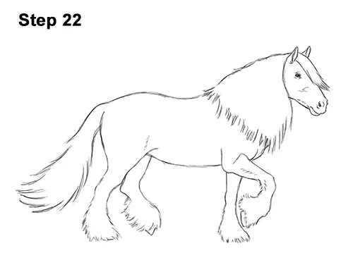 How to Draw a Horse Gypsy Vanner Irish Cob 22