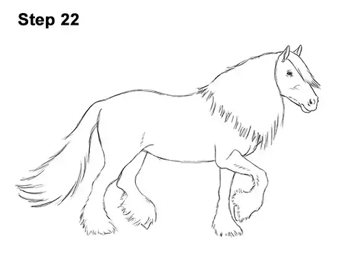 كيفية رسم حصان Gypsy Vanner Irish Cob 22