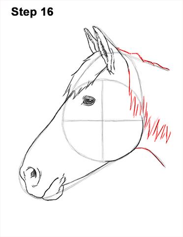 horse head side profile