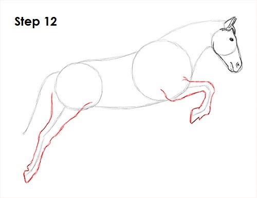 Draw a Horse Jumping 12