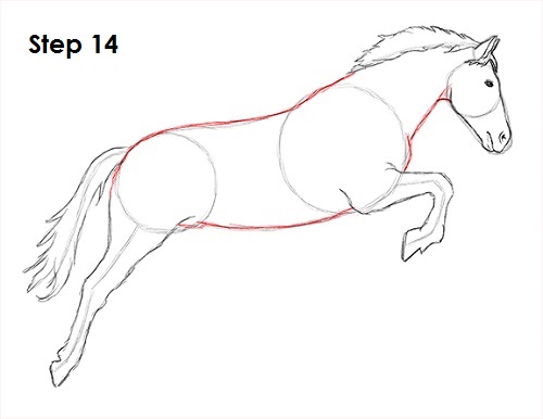Draw a Horse Jumping 14